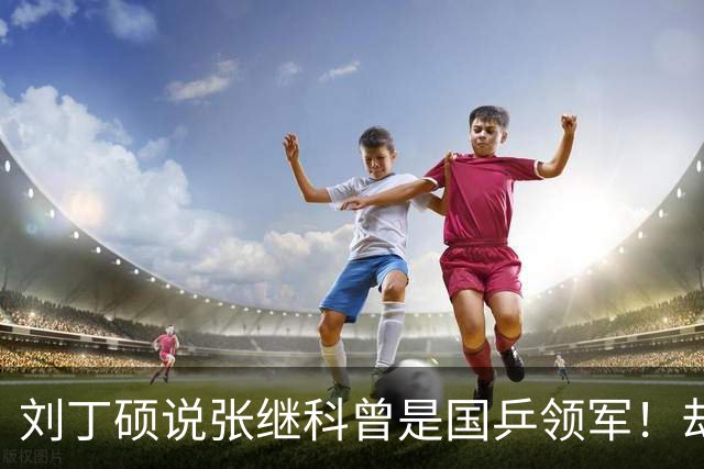 刘丁硕说张继科曾是国乒领军！却故意不提樊振东：男团需要2个王楚钦