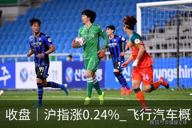收盘｜沪指涨0.24% 飞行汽车概念股大涨
