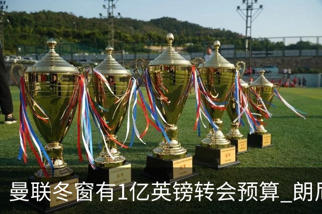 曼联冬窗有1亿英镑转会预算 朗尼克点名要这两人