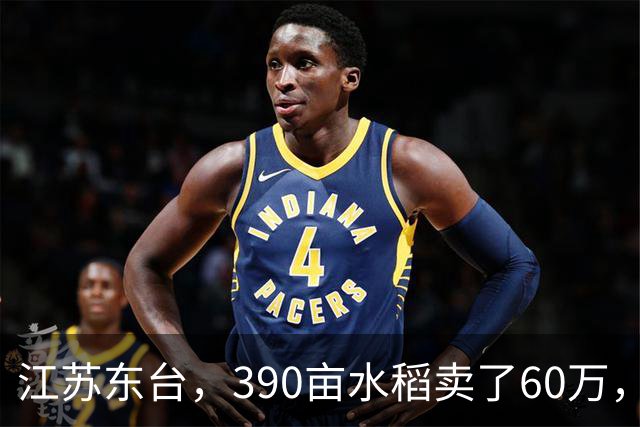 江苏东台，390亩水稻卖了60万，农户：成本49万，纯利润11万