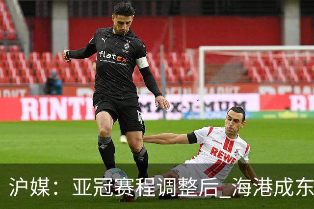 沪媒：亚冠赛程调整后 海港成东亚区最吃亏球队