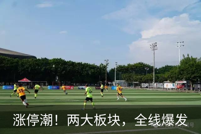涨停潮！两大板块，全线爆发