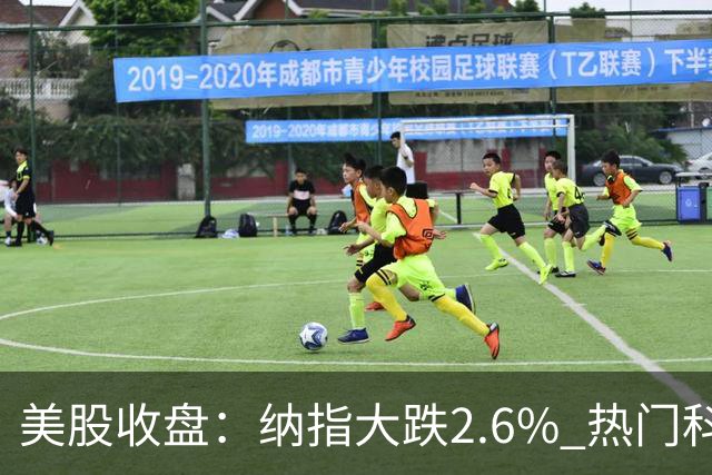 美股收盘：纳指大跌2.6% 热门科技股纷纷下挫