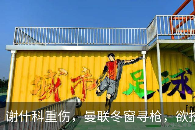 谢什科重伤，曼联冬窗寻枪，欲挖死敌当家射手，难度之大远超预期