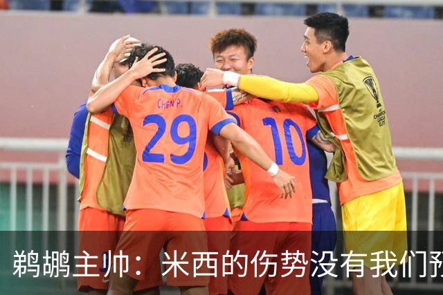 鹈鹕主帅：米西的伤势没有我们预想的那么严重