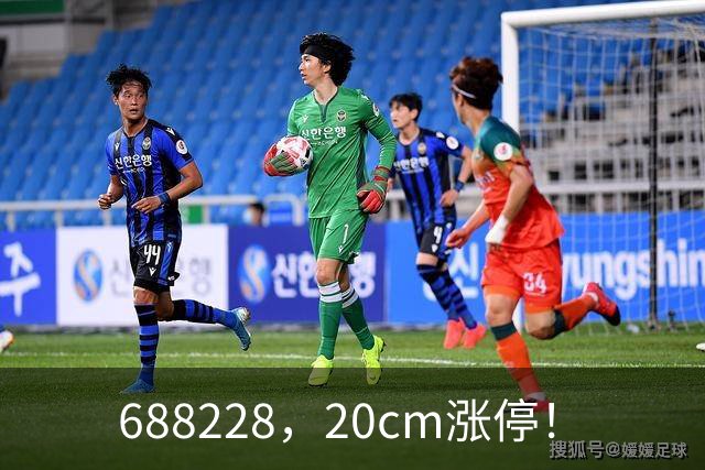 688228，20cm涨停！