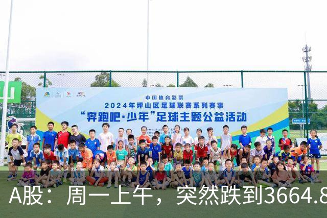 A股：周一上午，突然跌到3664.82，半导体大跌！释放五个重要信号