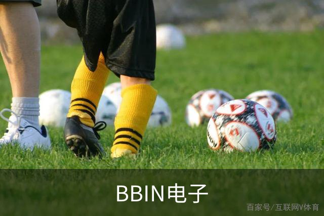 BBIN电子公司介绍展示图