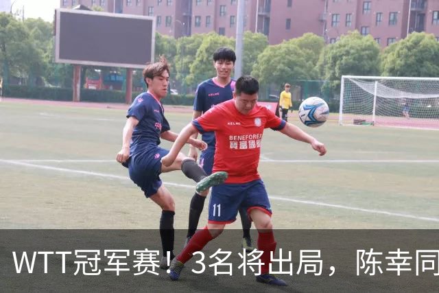 WTT冠军赛！3名将出局，陈幸同，国乒大获全胜，周启豪超级逆转